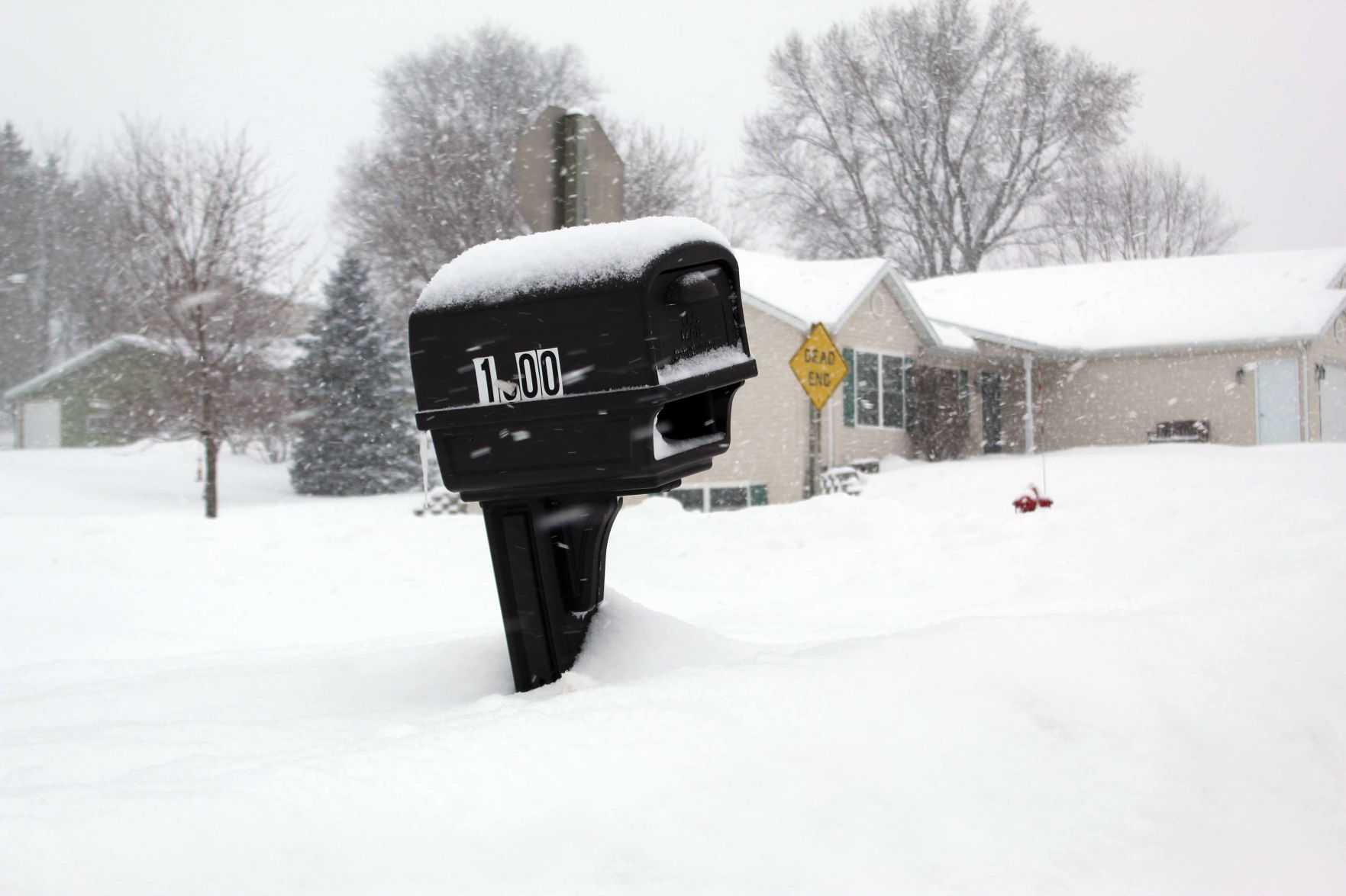 013119-reed-gallery-cold012